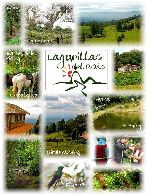 Lagunillas Del Poas Poasito الغرفة الصورة