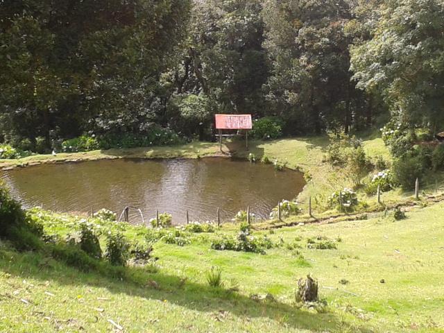 Lagunillas Del Poas Poasito المظهر الخارجي الصورة